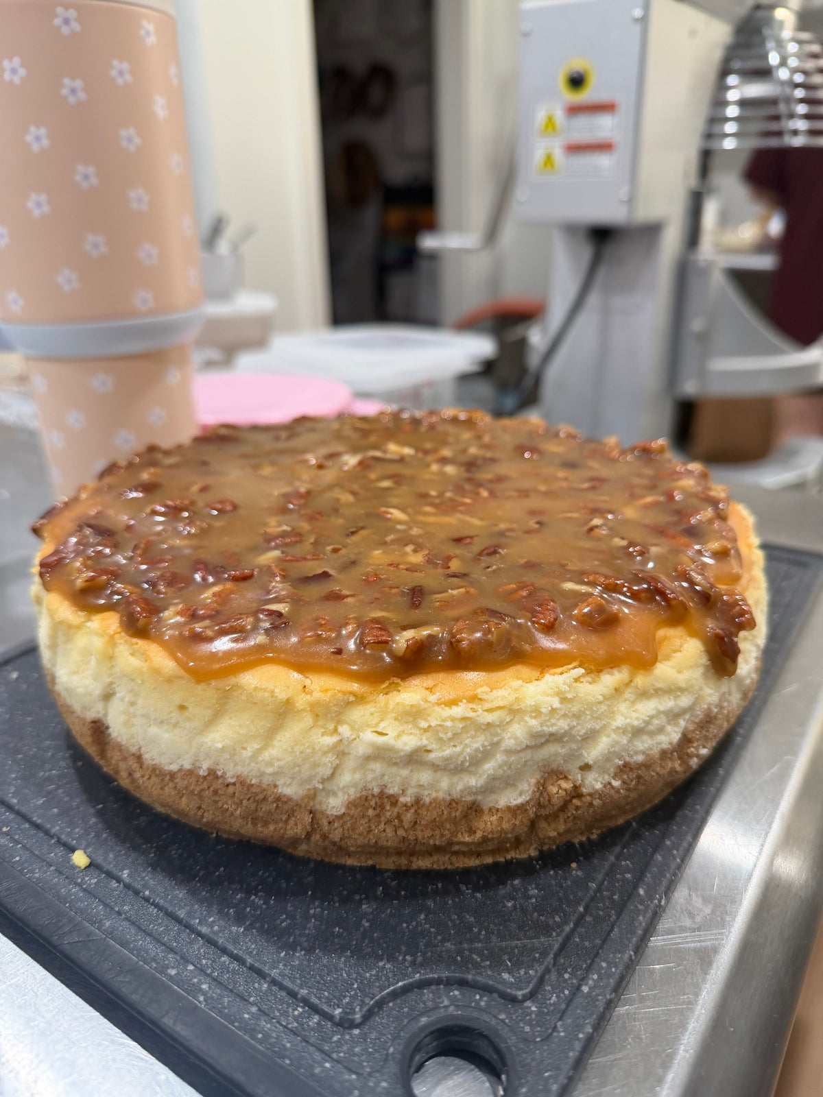 Pecan Pie Cheesecake