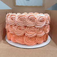 Ombré Rosettes - custom